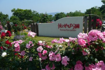 Kanoya Rose Garden Spring Festival