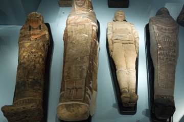 Mummies of the World Exhibition 2021