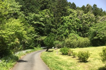 Hiking From Musashi-Yokote to Koma