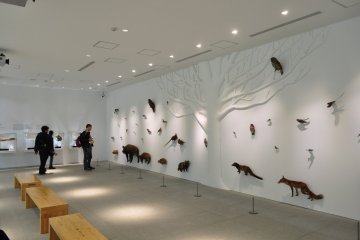 Takao 599 Museum