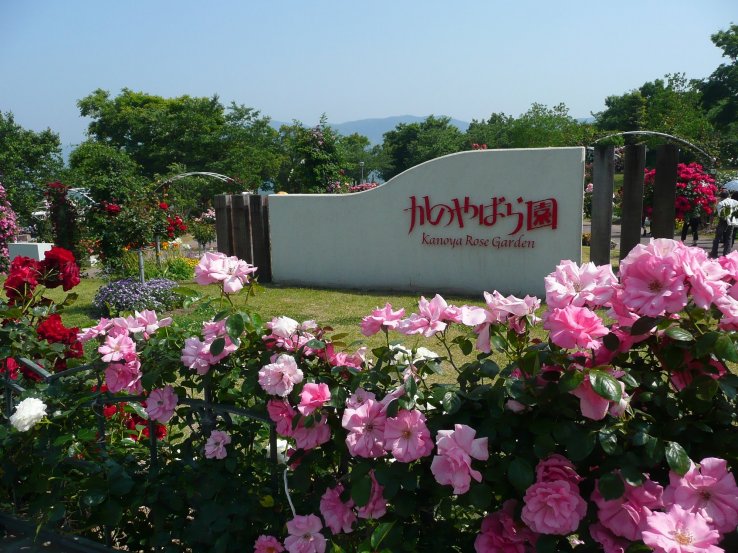 Kanoya Rose Garden, Kagoshima