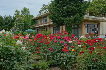 Ishida Rose Garden in Odate, Akita Prefecture