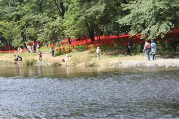 <p>Picnic area</p>