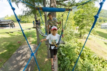 Tree trekking