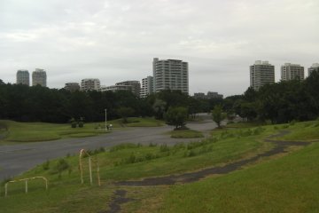 Overlooking the park