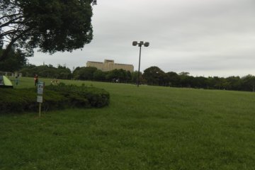 The Central area's greenness