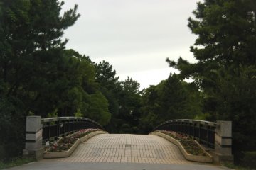 A peaceful walk