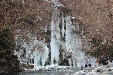 <p>Icicles</p>