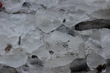 <p>Ice</p>
