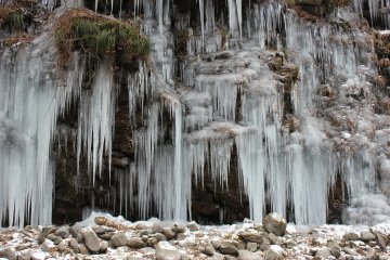 <p>Curtain of icicles</p>