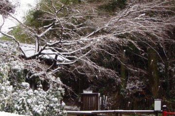 Shirakawa Suigen