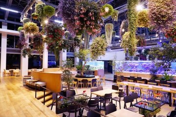 Illuminated flower chandeliers will decorate the venue