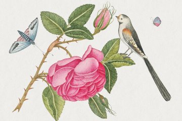 Kew Gardens Exhibition: Yamaguchi 2021