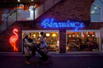 Flamingo