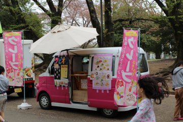 Inariyama Park Cherry Blossoms