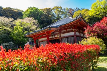 The Shikoku 88 Temple Pilgrimage