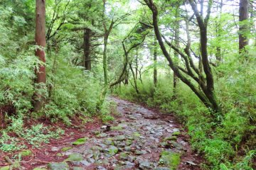 Old Tokaido Road