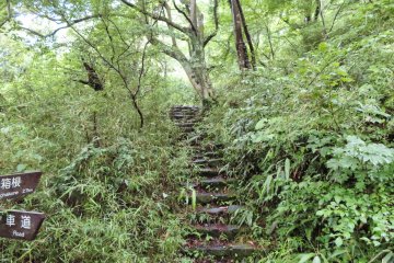 Old Tokaido Road