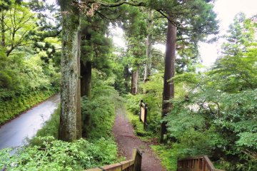 Old Tokaido Road