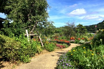 Stroll the garden along the river