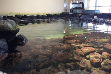 Nagisa Seaside Plaza's aquarium