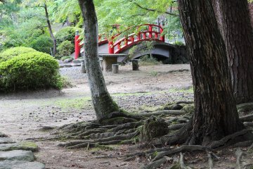 Part of a garden