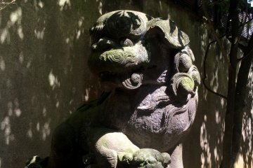 A lion dog greets you as you approach the shrine