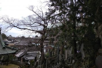 Shinshoji