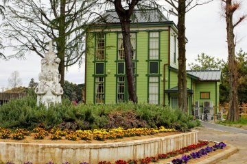 Some flowers by the beautiful atypical building