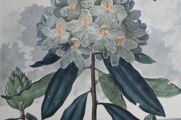 A variety of botanical-themed art will be displayed at the event