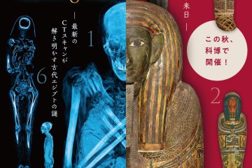The event uses modern technology to help explore more about the lives of six mummies