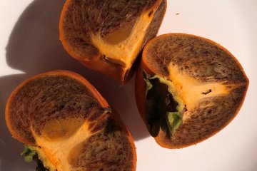 Kaki-no-Sato Kudoyama