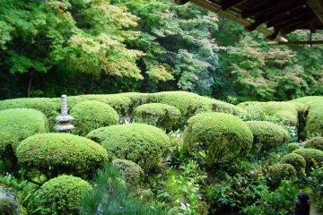 <p>Peace and Tranquility</p>