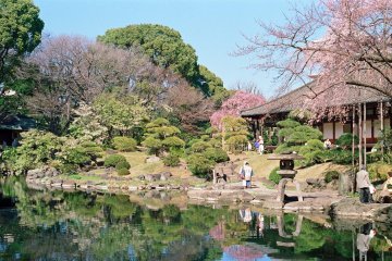 Asakusa's Denboin Garden