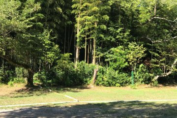 The spacious meadow behind the temple is now a camp site; no campers today though