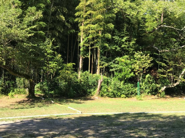 The spacious meadow behind the temple is now a camp site; no campers today though