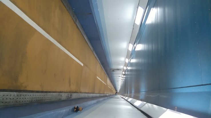 Under The Sea