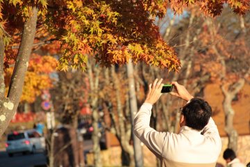 5 Fall Foliage Destinations in Tochigi