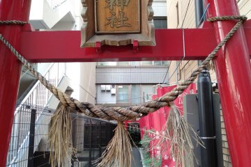 First tori gate