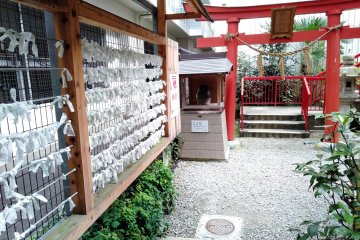 Omikuji fortune slips