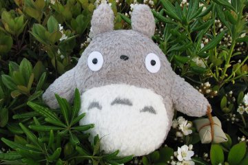 Totoro is one of the most favorite characters of Hayao Miyazaki 