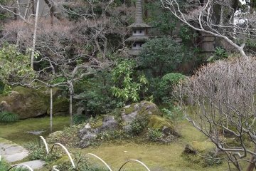 A landscape of the garden