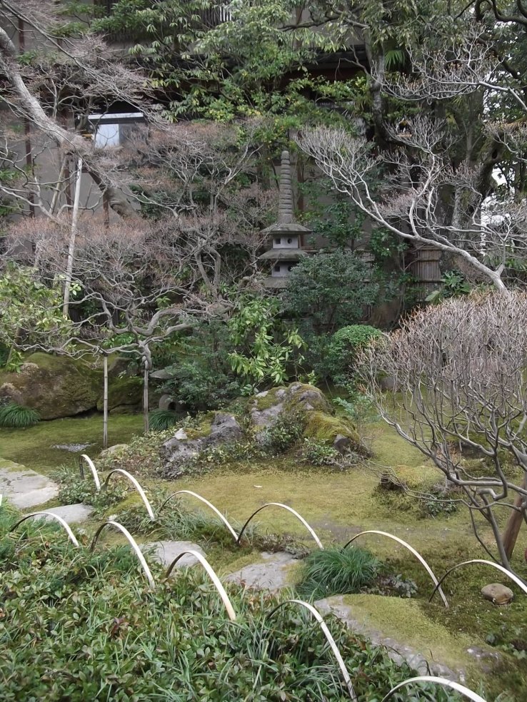 A landscape of the garden