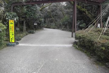 Looking down the promenade