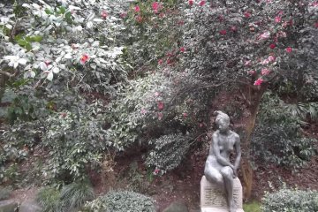 Among the greenery
