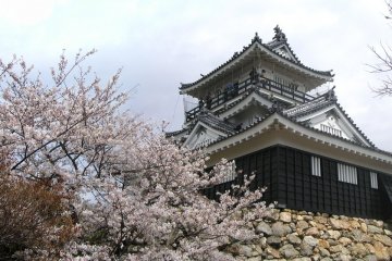 Shizuoka Prefecture's Castle Legacy 
