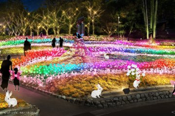 Osaka Garden of Floral Culture Illuminations 2021-2022