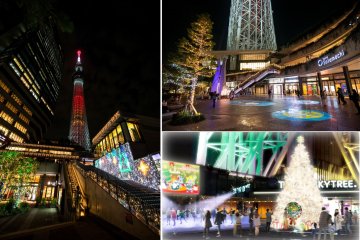 A variety of illuminations will add some brightness to the festive season