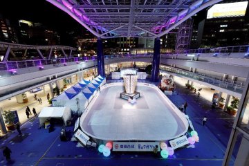 Toyoda Gosei Rink 2025-2026