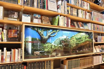 One of the dioramas hidden in the shelves